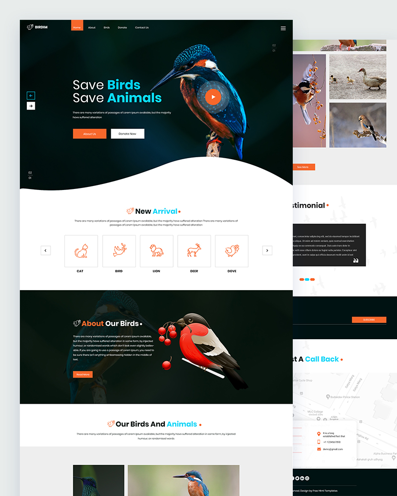 Birdim - Bird Care PSD Template