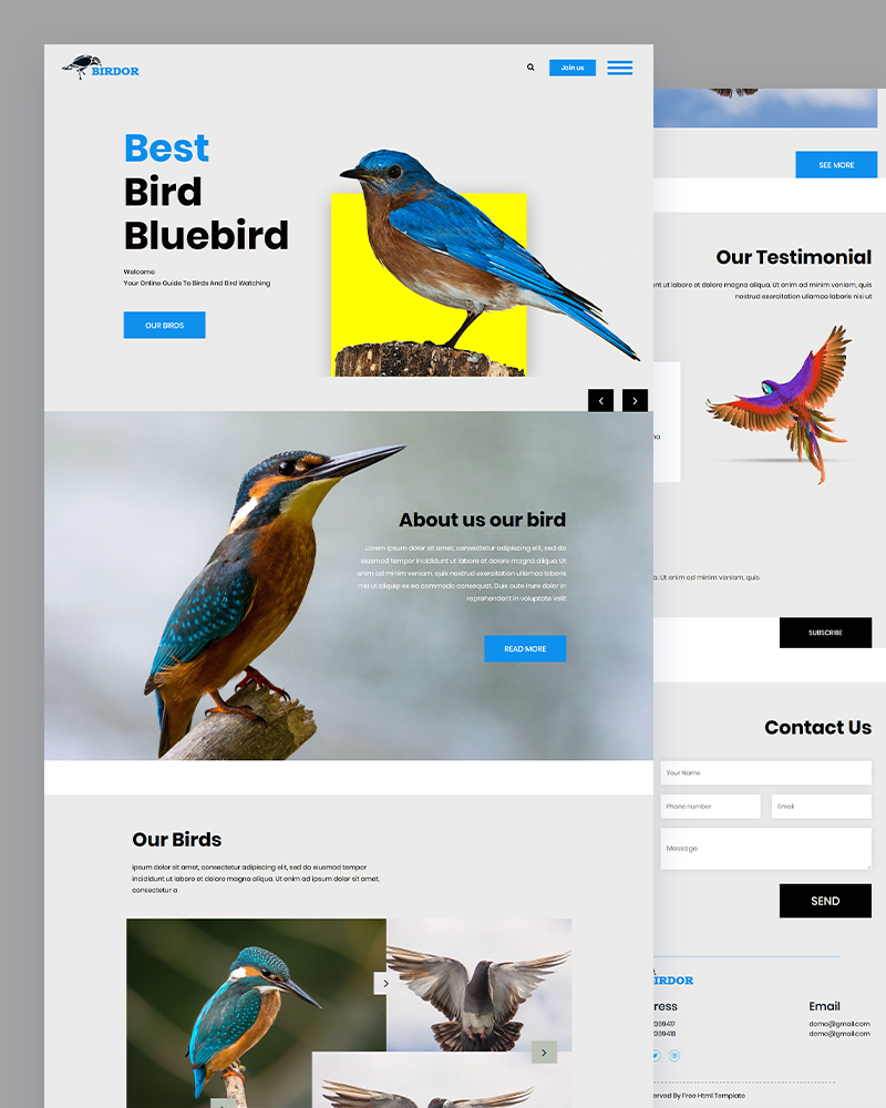 Birdor - Bird PSD Template