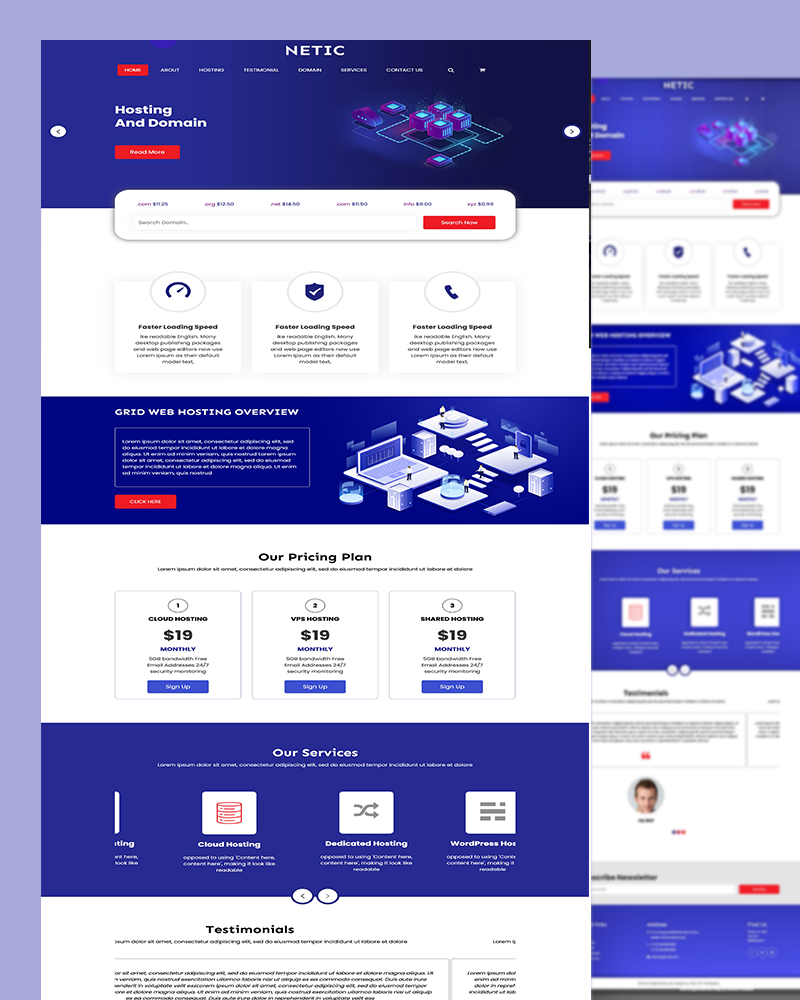 Netic - Web Hosting Website template