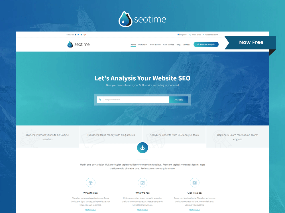 SEOTime - Free SEO Company Responsive Website Template