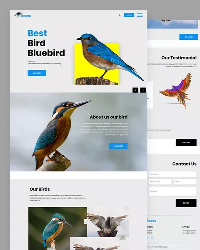 Birdor - Bird PSD Template