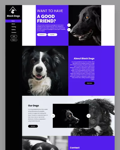 Black Dogs - Pets Website Template