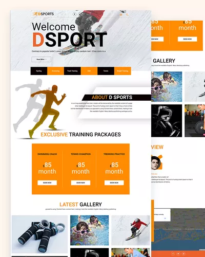 DSports - Free MultiPurpose PSD Template