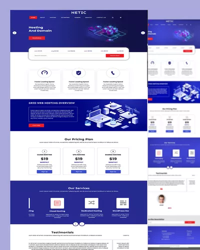 Netic - Web Hosting Website template