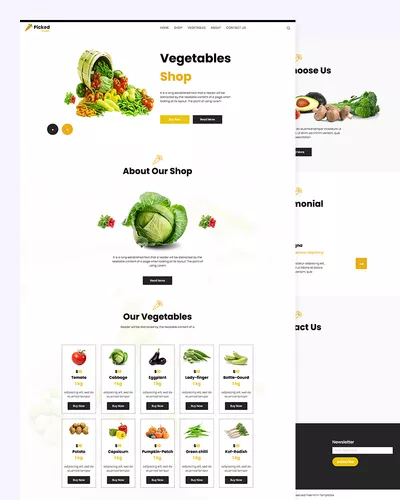 Picked – Vegetables Online Shopping Template