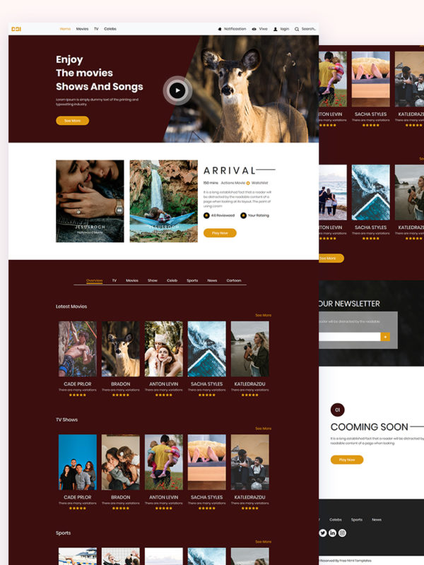 Dbi - Video Website Html Template blank - Dbi - Video Website Html Template