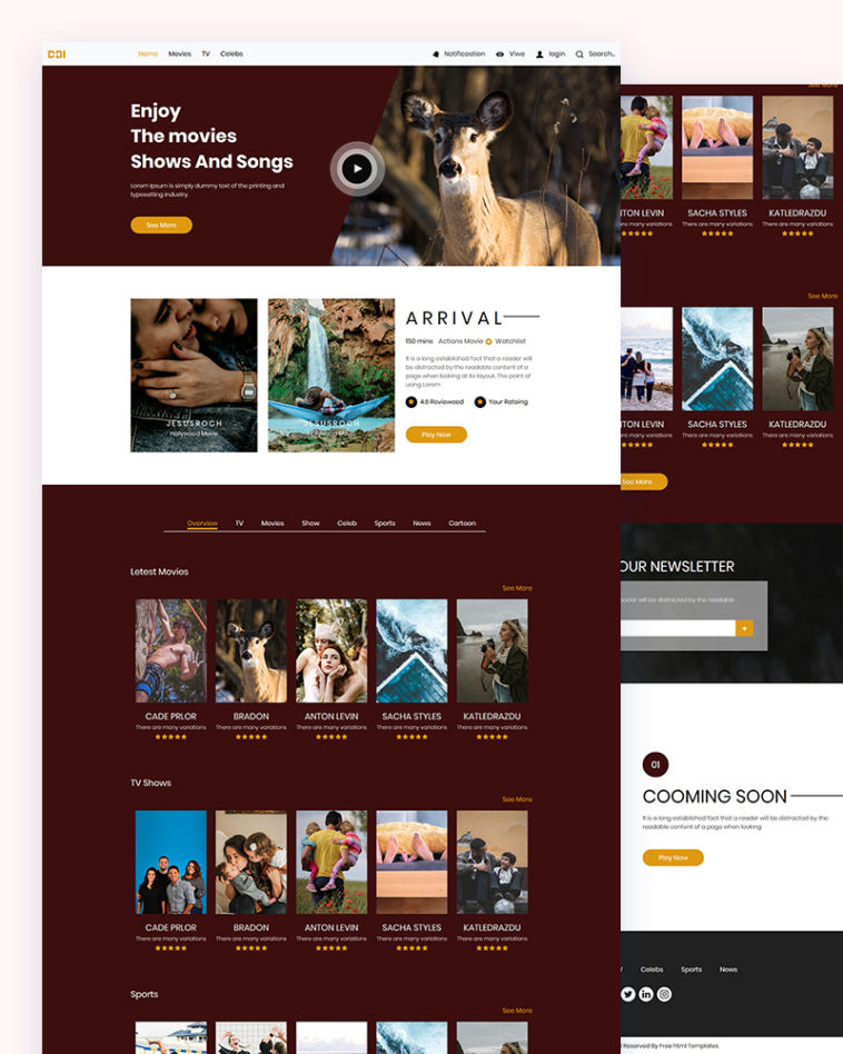 Web Template For Video from html.design