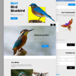 Bird PSD Template Free Download