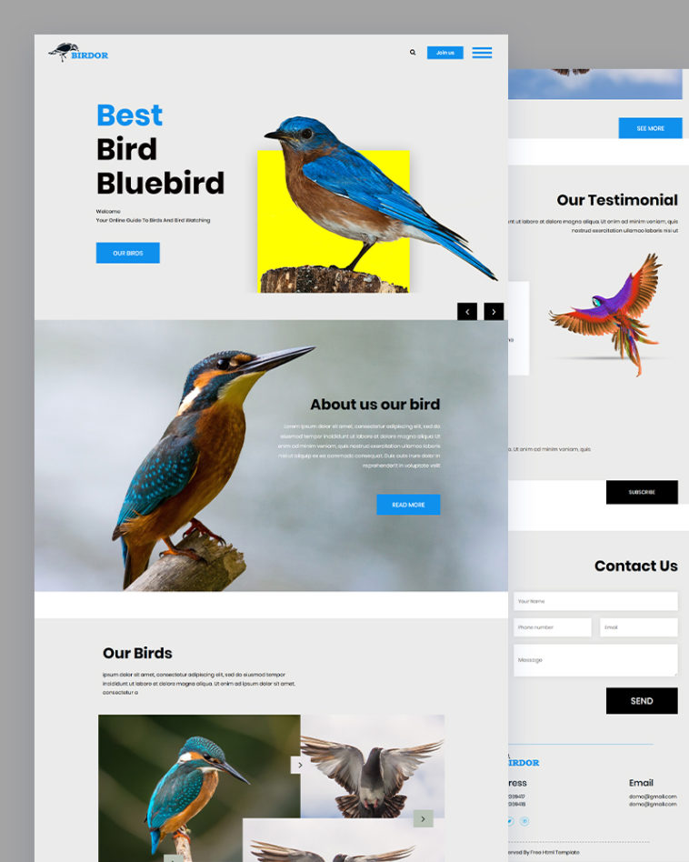Bird PSD Template Free Download